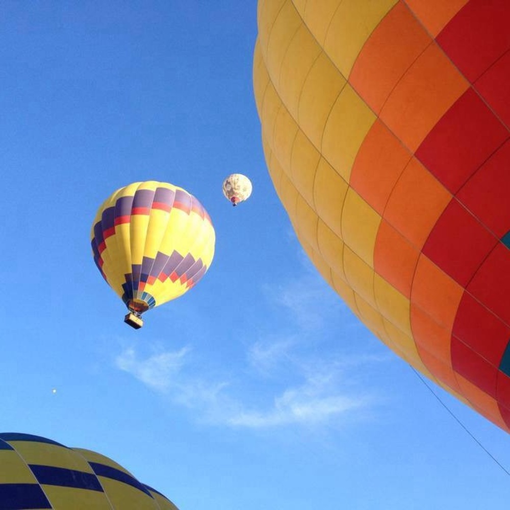 Meet your Posher, Carrie